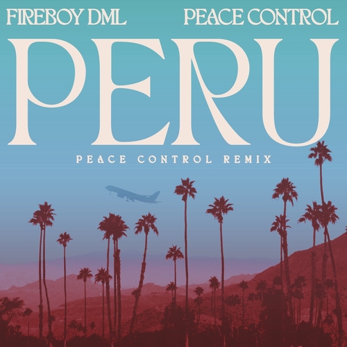 Fireboy DML - Peru (Peace Control Remix) [DIS020]
